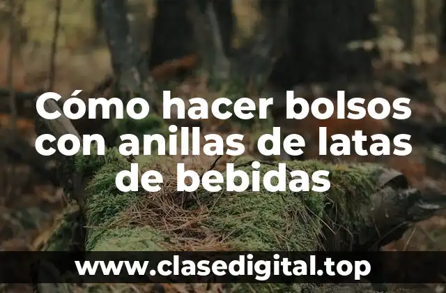 Cómo hacer bolsos con anillas de latas de bebidas
