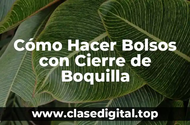 Cómo Hacer Bolsos con Cierre de Boquilla