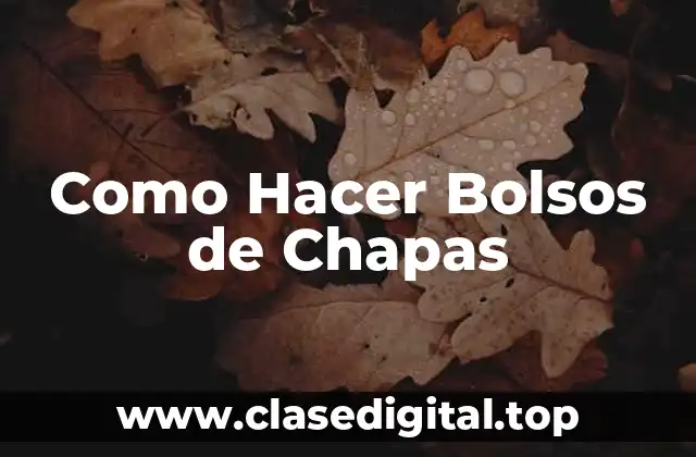 Como Hacer Bolsos de Chapas