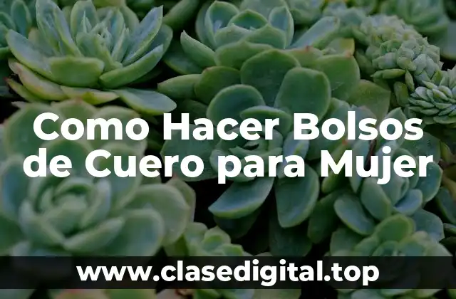 Como Hacer Bolsos de Cuero para Mujer