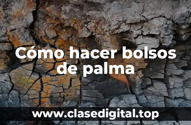 Cómo hacer bolsos de palma