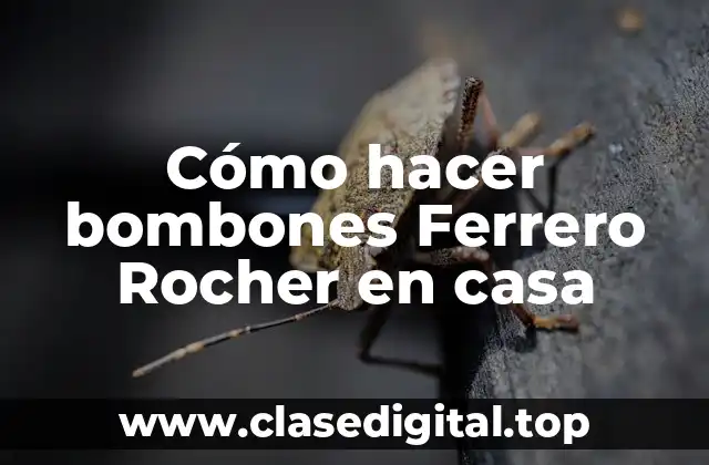 Cómo hacer bombones Ferrero Rocher en casa