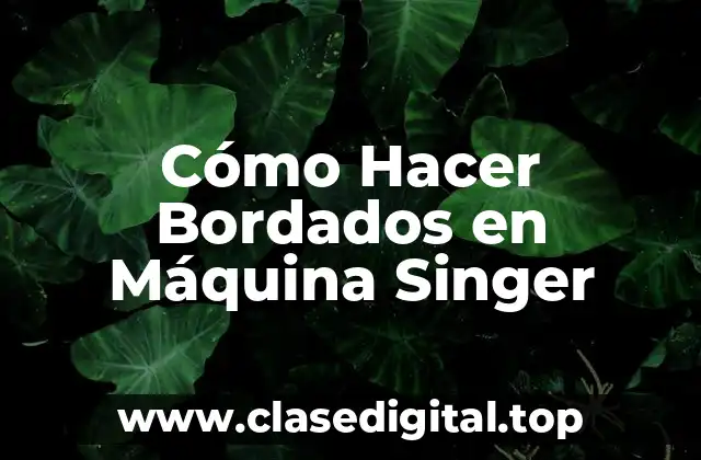 Cómo Hacer Bordados en Máquina Singer