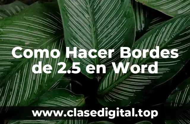 ¿Qué son los Bordes de 2.5 en Word?
