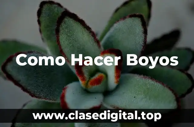 Como Hacer Boyos