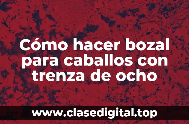 Cómo hacer bozal para caballos con trenza de ocho