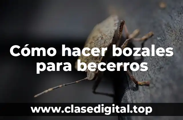 Cómo hacer bozales para becerros