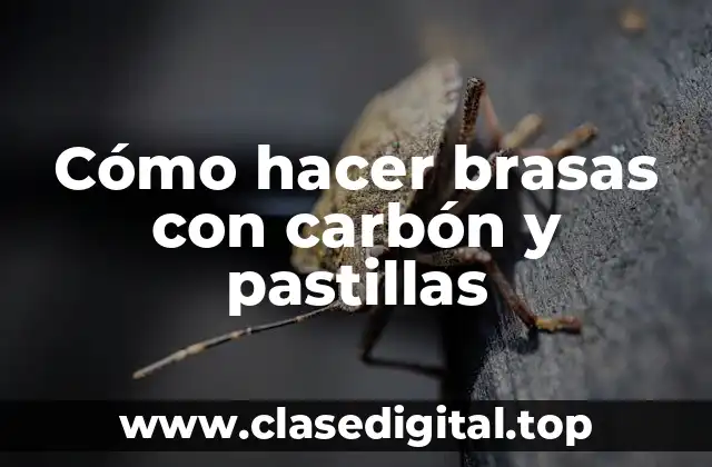 Cómo hacer brasas con carbón y pastillas