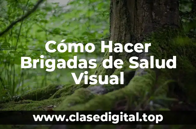 Cómo Hacer Brigadas de Salud Visual