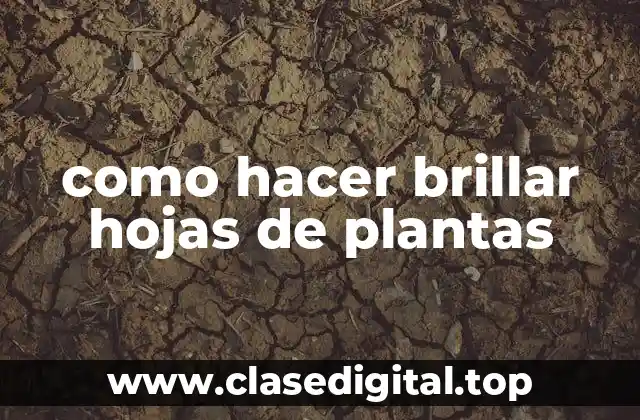 como hacer brillar hojas de plantas