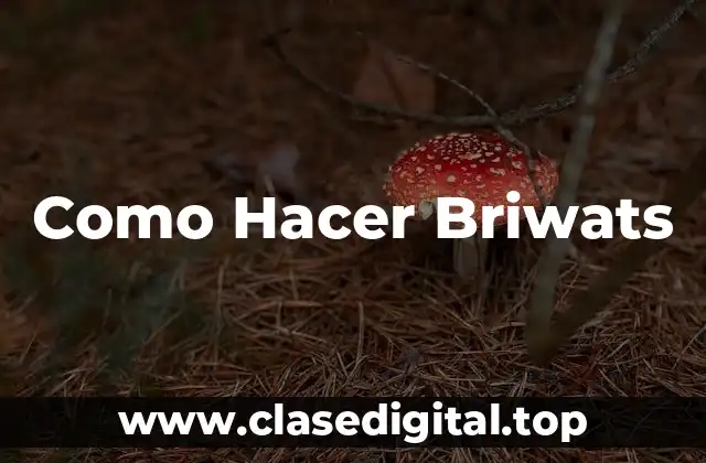 Como Hacer Briwats