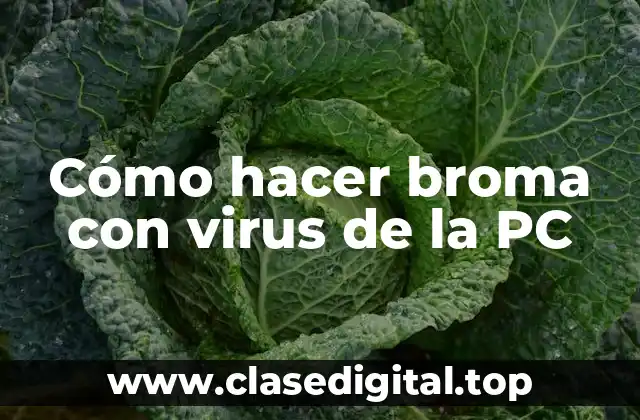 Cómo hacer broma con virus de la PC
