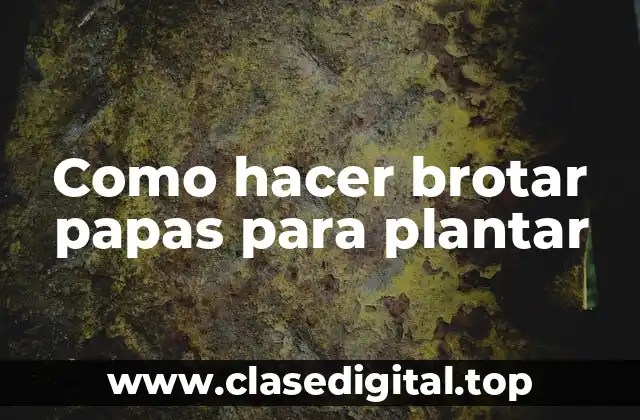 Como hacer brotar papas para plantar