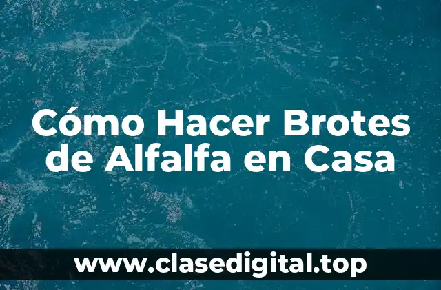 Cómo Hacer Brotes de Alfalfa en Casa