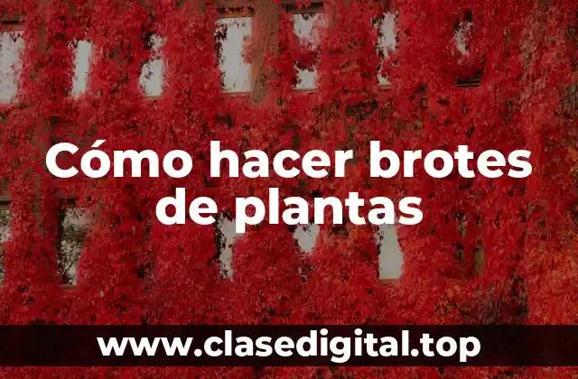 Cómo hacer brotes de plantas