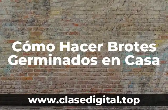 Cómo Hacer Brotes Germinados en Casa