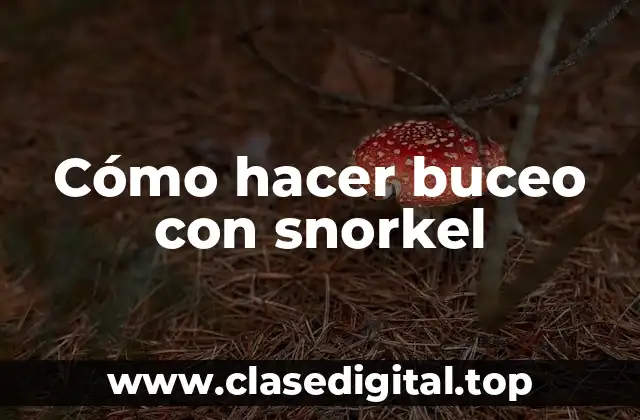 Cómo hacer buceo con snorkel