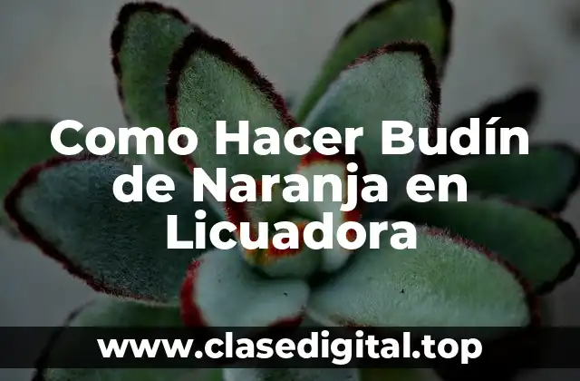 Como Hacer Budín de Naranja en Licuadora