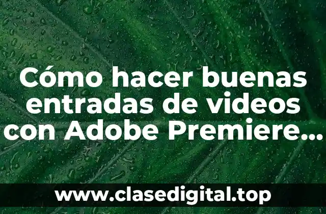 Cómo hacer buenas entradas de videos con Adobe Premiere CS6
