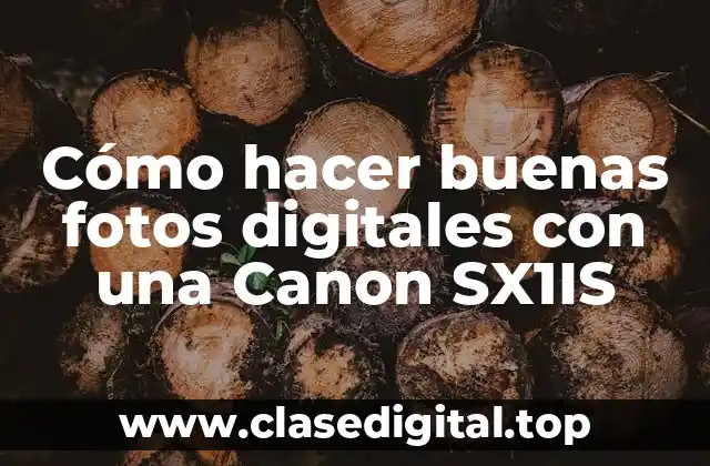 Cómo hacer buenas fotos digitales con una Canon SX1IS