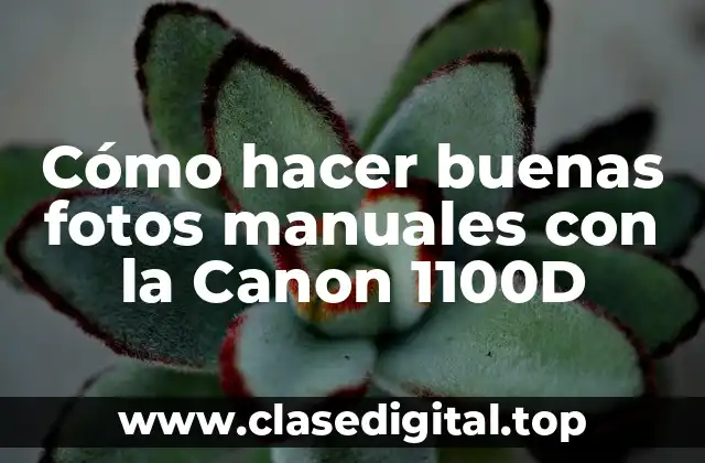 Cómo hacer buenas fotos manuales con la Canon 1100D