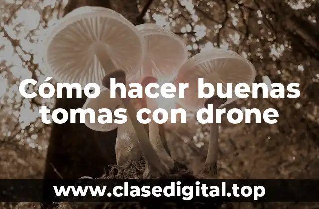 Cómo hacer buenas tomas con drone