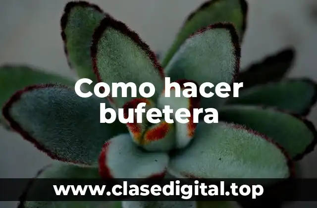 Como hacer bufetera