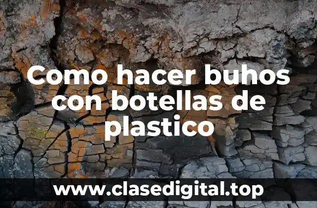 Como hacer buhos con botellas de plastico