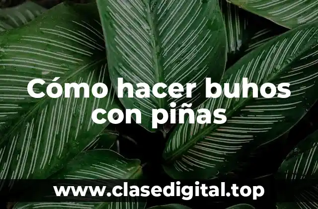 Cómo hacer buhos con piñas
