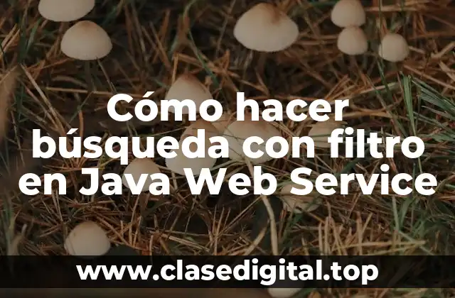 Cómo hacer búsqueda con filtro en Java Web Service