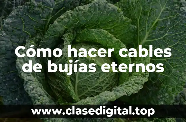 Cómo hacer cables de bujías eternos