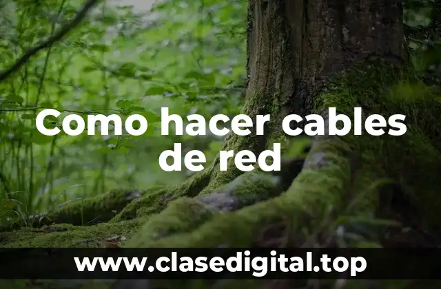 ¿Qué es un cable de red y para qué sirve?