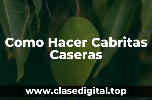 ¿Qué Son las Cabritas Caseras?