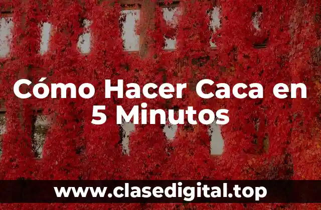Cómo Hacer Caca en 5 Minutos