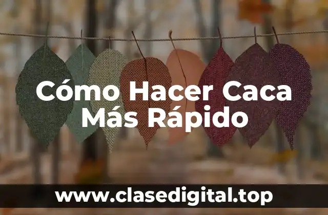 Cómo Hacer Caca Más Rápido