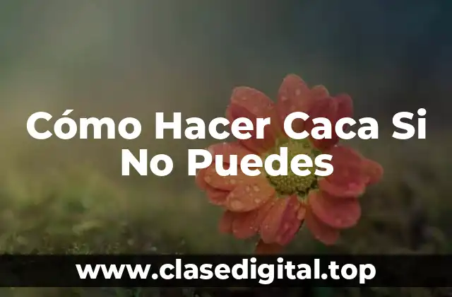 Cómo Hacer Caca Si No Puedes
