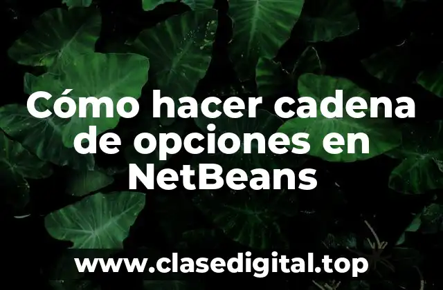 Cómo hacer cadena de opciones en NetBeans