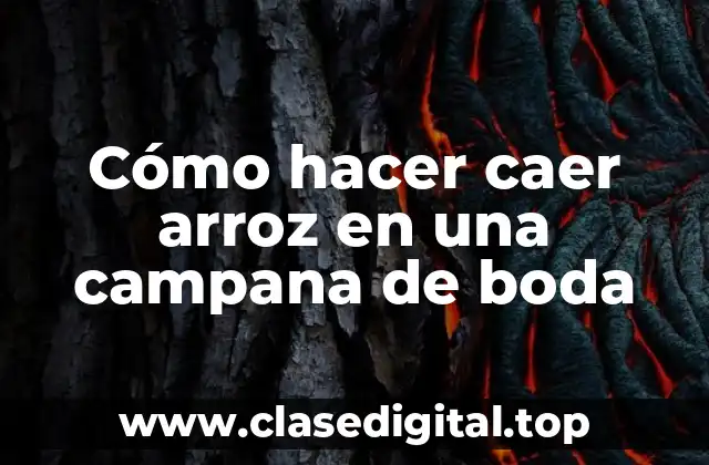 Cómo hacer caer arroz en una campana de boda
