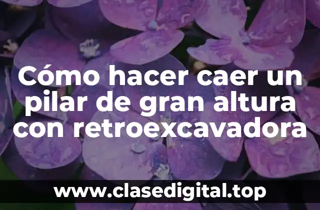 Cómo hacer caer un pilar de gran altura con retroexcavadora
