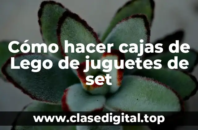 Cómo hacer cajas de Lego de juguetes de set