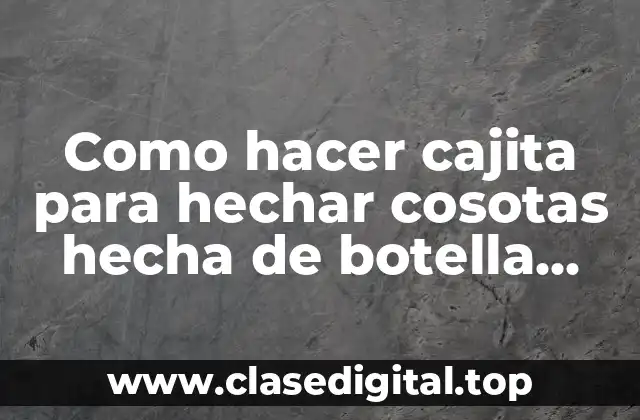 Como hacer cajita para hechar cosotas hecha de botella plástica