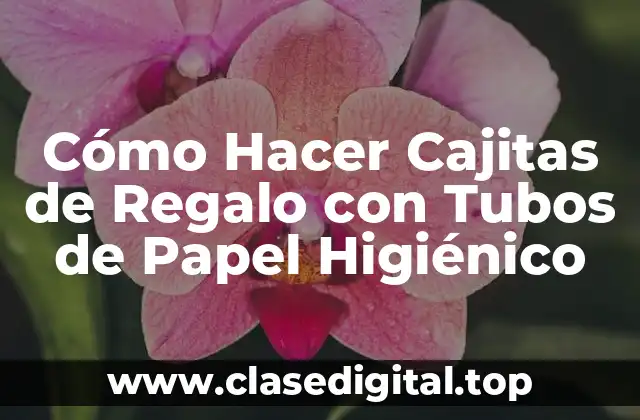 Cómo Hacer Cajitas de Regalo con Tubos de Papel Higiénico