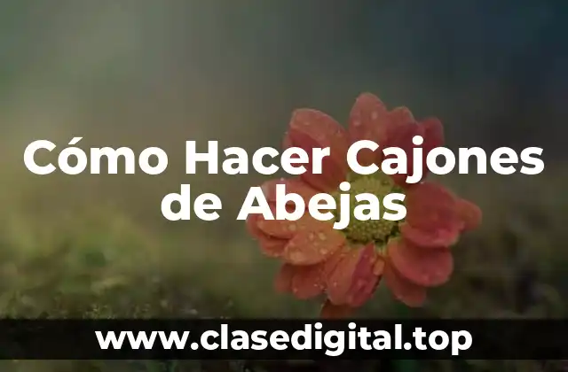 ¿Qué son los Cajones de Abejas y para qué Sirven?