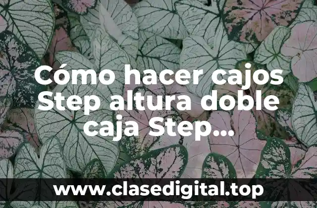 Cómo hacer cajos Step altura doble caja Step antideslizante