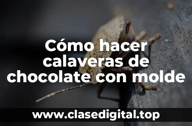 Cómo hacer calaveras de chocolate con molde
