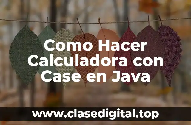 Como Hacer Calculadora con Case en Java