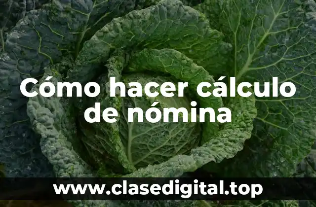 Cómo hacer cálculo de nómina