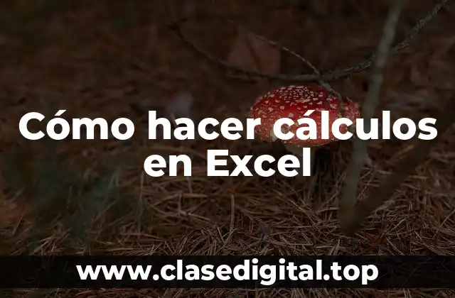 Cómo hacer cálculos en Excel