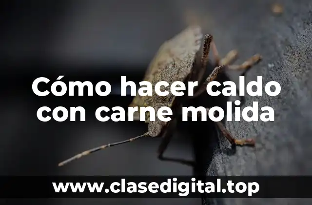 Cómo hacer caldo con carne molida