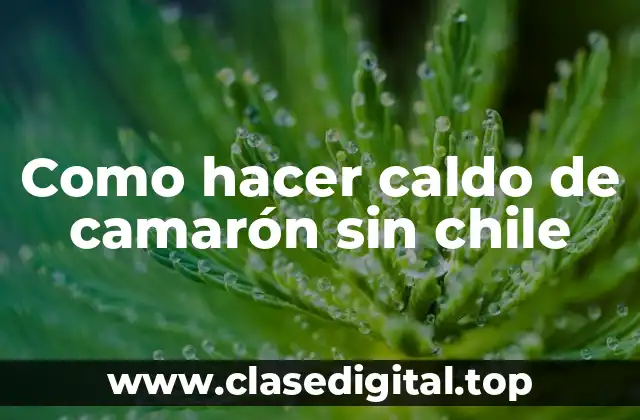 Como hacer caldo de camarón sin chile